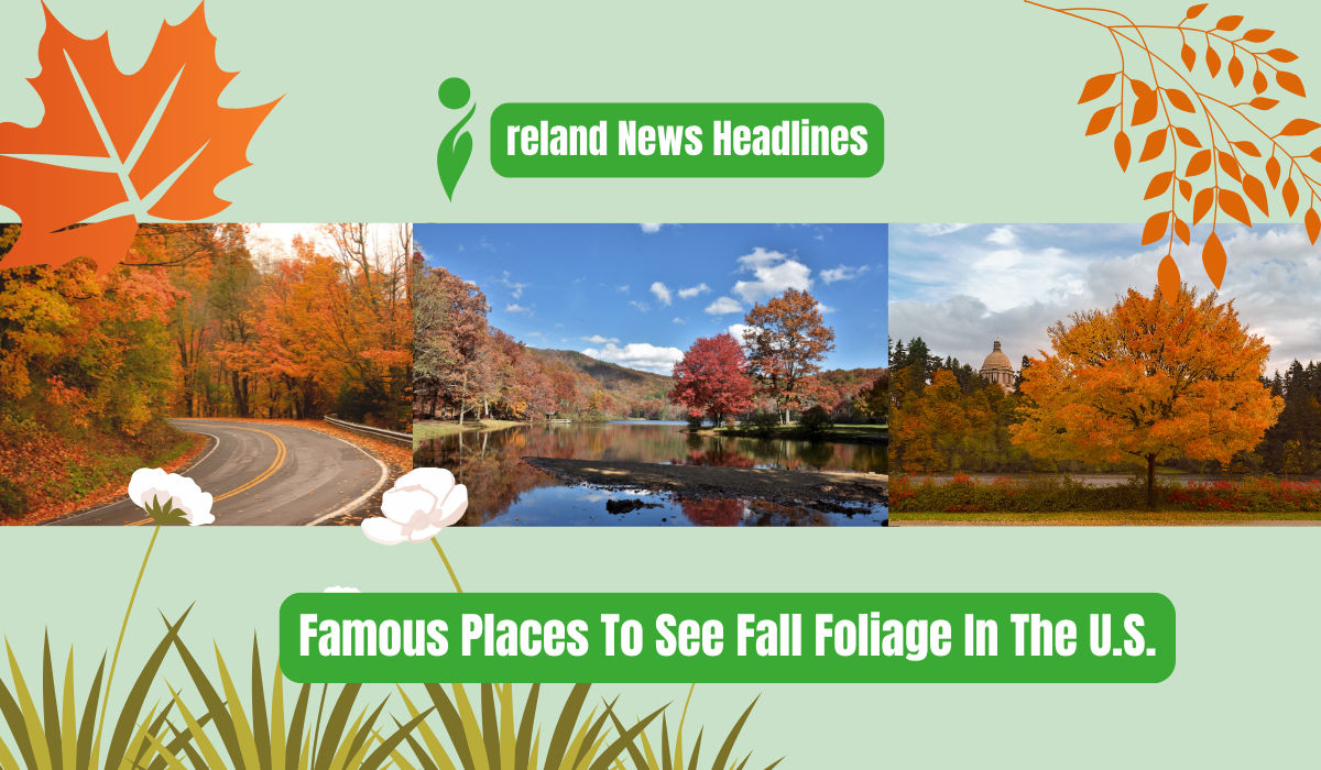 Famous Places To See Fall Foliage In The U.S.